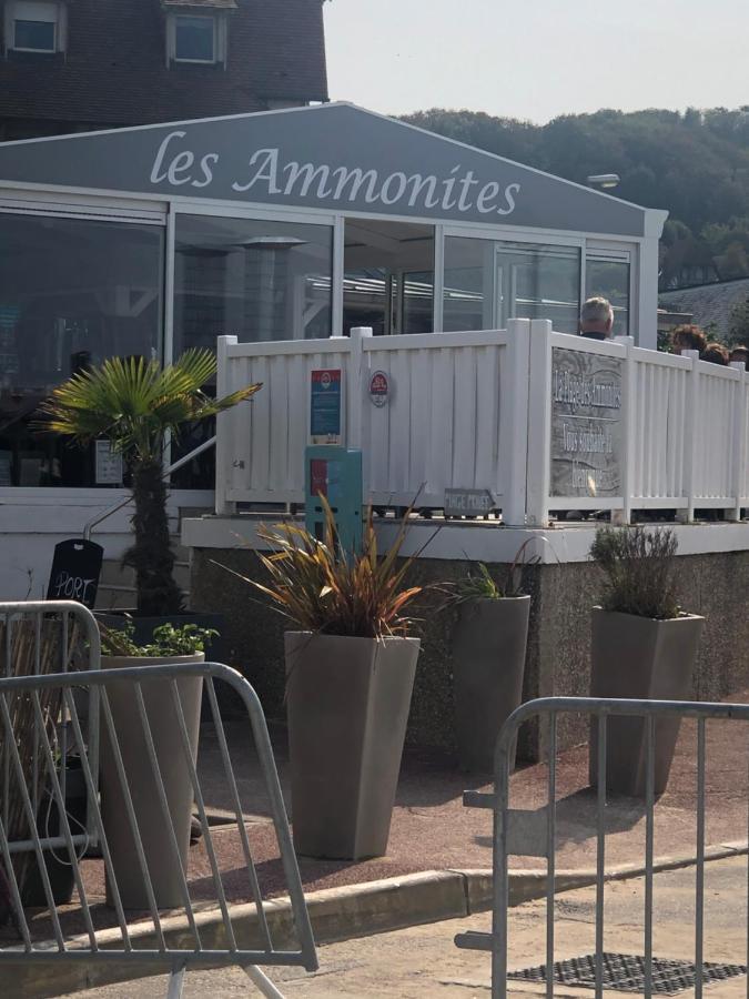 La Digue 45 Rue Des Lais De Mer Bénerville-sur-Mer 外观 照片